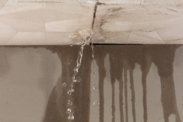 Professional Water Damage Repair technician working in Redwood, TX